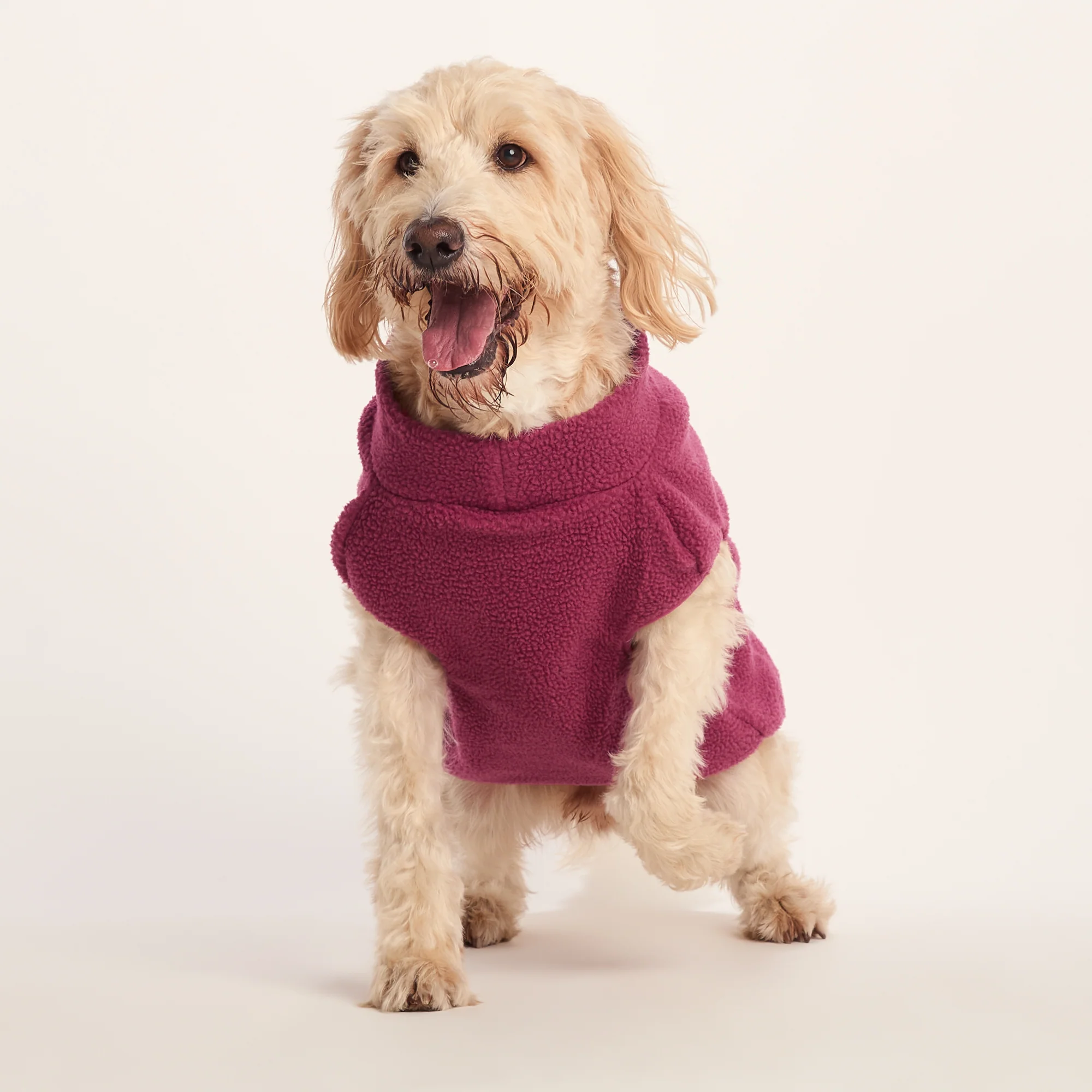Rover Sherpa Dog Coat XL - Washed Burgundy