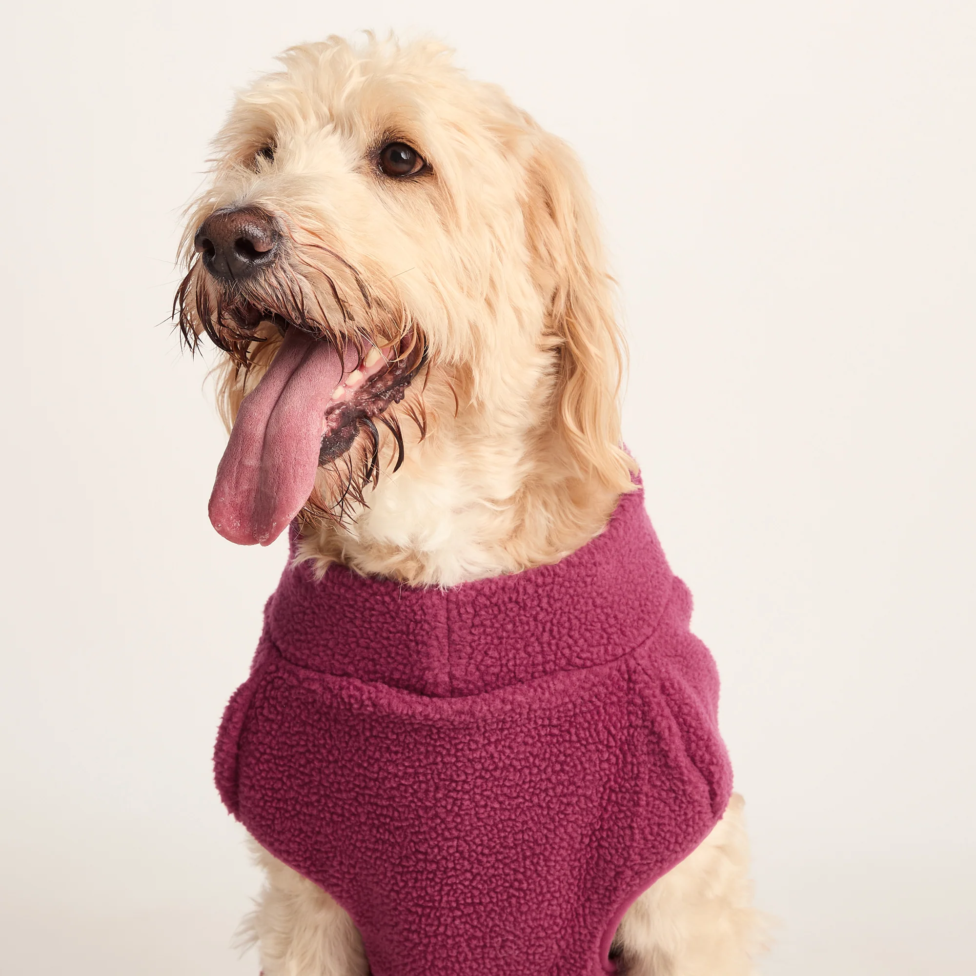 Rover Sherpa Dog Coat XL - Washed Burgundy - Image 5