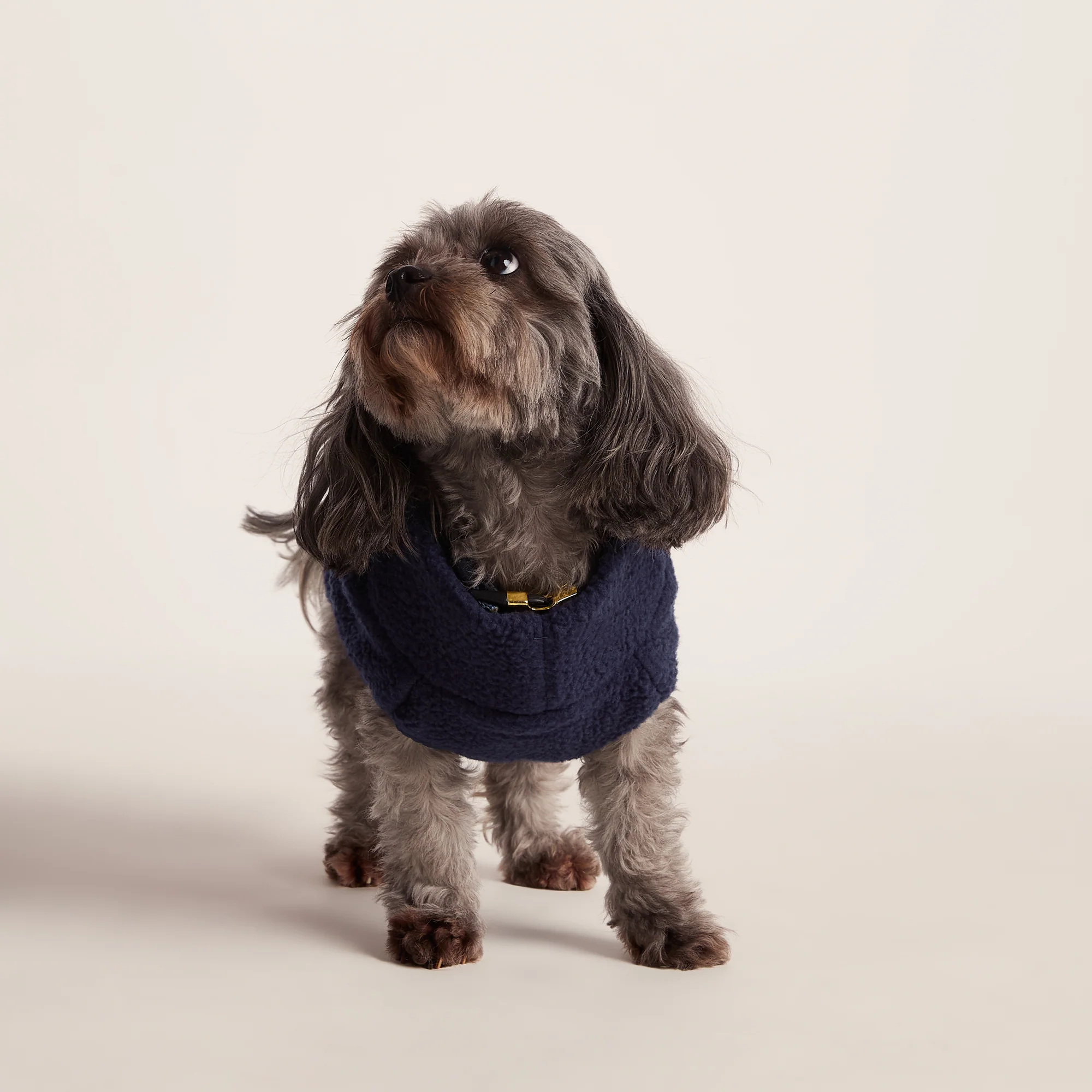 Rover Sherpa Dog Coat XS - Oxford Blue
