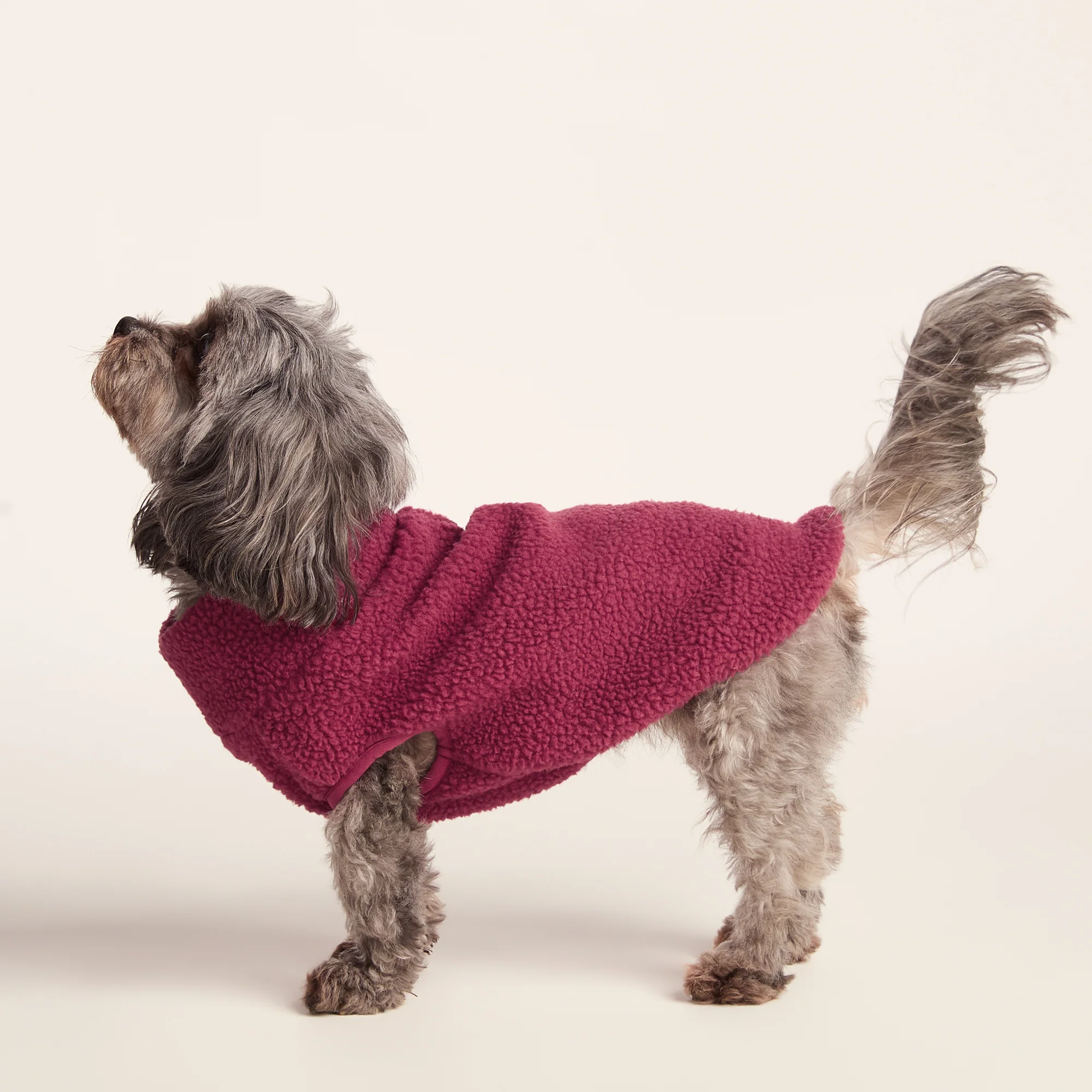 Rover Sherpa Dog Coat XS - Washed Burgundy - Image 3